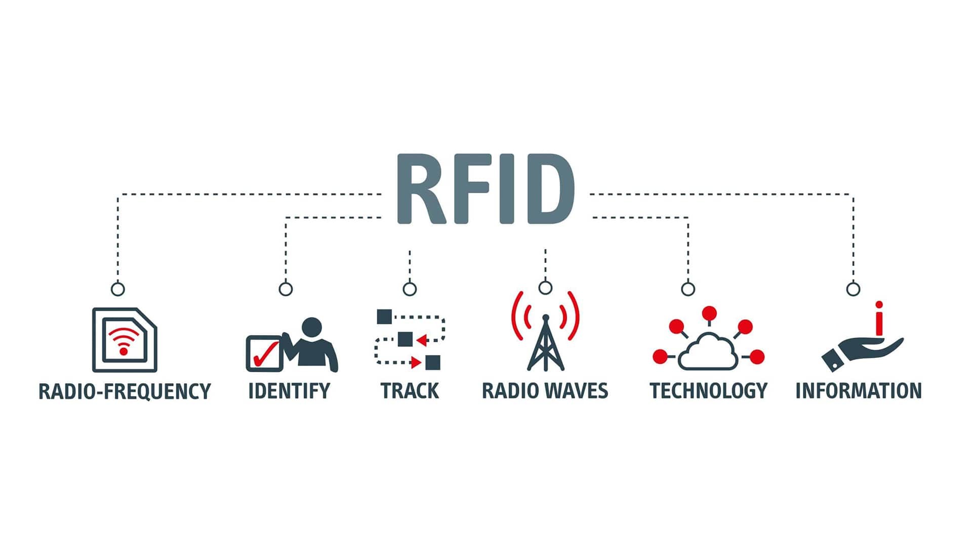 RFID 기술을 활용한 차 회사 물류 및 창고 관리의 디지털 전환