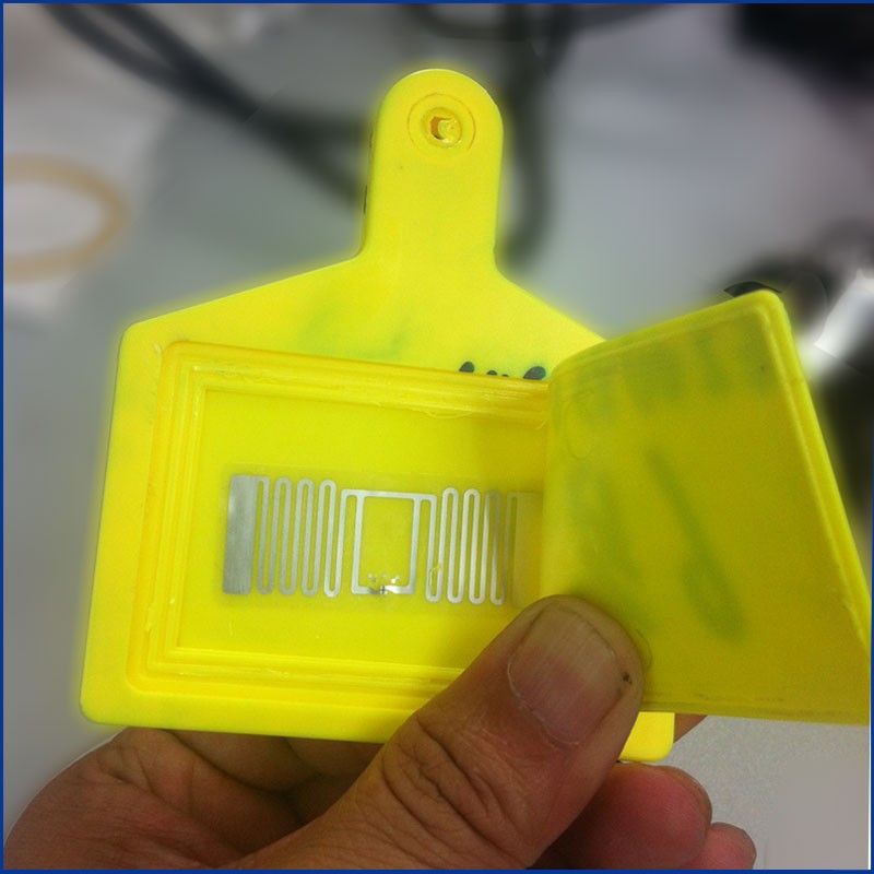 High-quality UHF RFID Animal Ear Tags JT-307